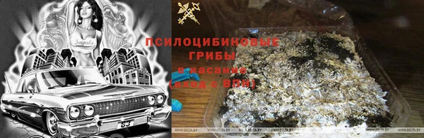 мескалин Ельня