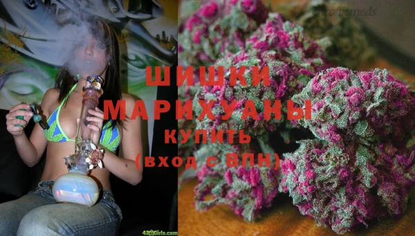 мескалин Ельня