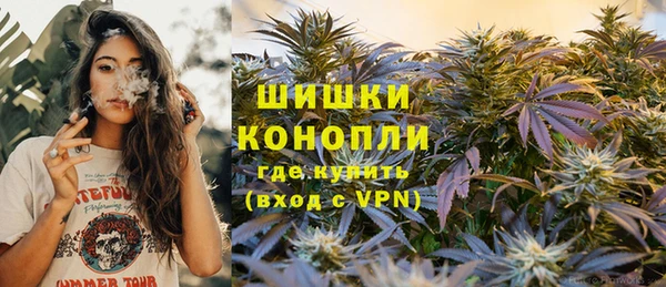 ешки Дмитриев