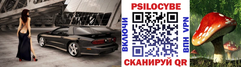Псилоцибиновые грибы Psilocybe  mega ссылка  Грязовец 